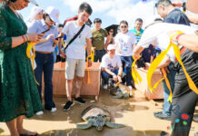 中华时报社长曾晓辉应邀出席“ 第五届南海海龟保护放归”