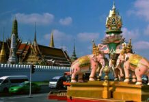 春节旅游去哪玩