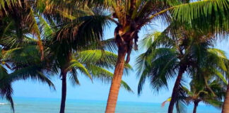 东方夏威夷岘港