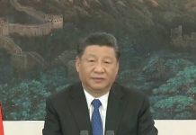世界卫生大会视像会议开幕 习近平发表讲话