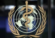 WHO先遣小组已赴中国调查新冠病毒起源