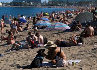 7/26新冠肺炎全球最新情報