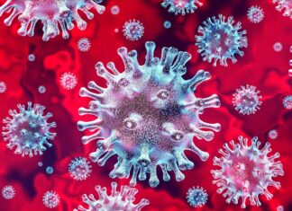 美國佐治亞州6月一個夏令營最少260人確診