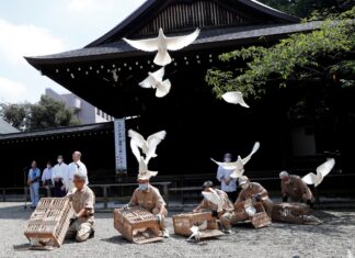 8/16新冠肺炎全球最新情報