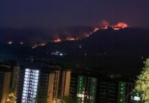 巴山夜雨成山火燎原 天府之國傳老人熱死 高溫熱浪恐導農作物歉收