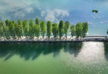 武漢東湖:城市中遇見“詩與遠方”