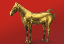 (東西問)田暉:揭秘兩千多年前的“汗血寶馬”