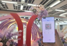 (粵港澳大灣區)廣州實現粵港澳三地跨境電子錢包互通