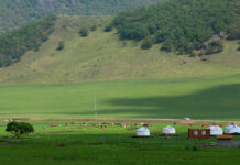 (尋味中華丨非遺)天幕下的穹廬:蒙古包承載遊牧人“心之所安”