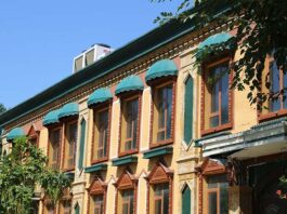 中國鄉愁丨新疆伊寧:來六星街看門窗“博覽會”