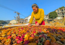 2025維多利亞國際攝影大賽入選作品:山鄉曬秋