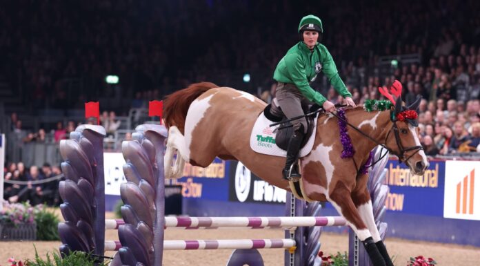 顶级骑师强强对决 压轴挑战赛即将上演