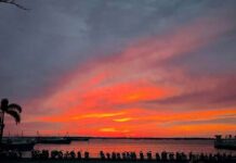 2025維多利亞國際攝影大賽入選作品:港灣晨曦