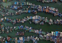 2025維多利亞國際攝影大賽入選作品:依靠