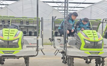 全球首個再生稻無人智慧農場:滑鼠一點,農機下田