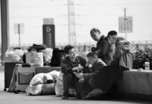 2026维多利亚国际摄影大赛入选作品:视频传家音、笑绽返乡路