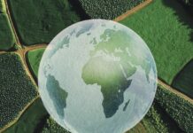 新书:支持2.4亿小农户转型 有望满足全球至2050年新增粮食需求